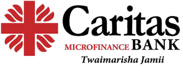 Caritas logo